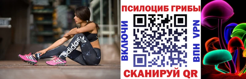 гидра как зайти  Луховицы  Галлюциногенные грибы Cubensis  купить  сайты 