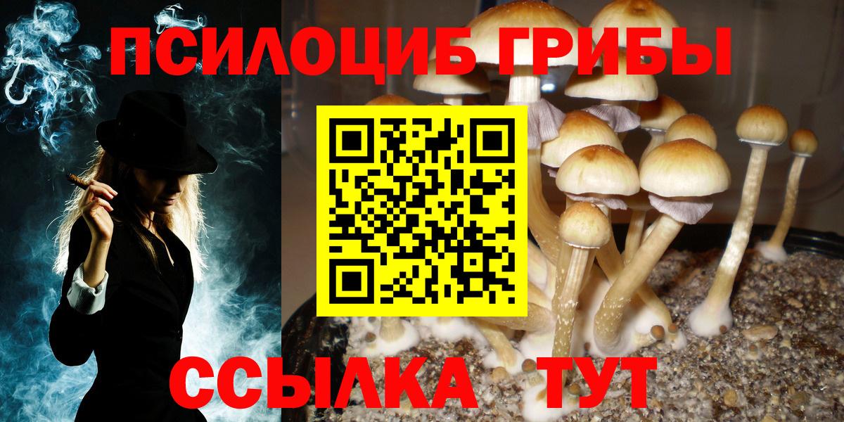 купить   Галлюциногенные грибы прущие грибы  Вход с VPN  Луховицы  Псилоцибиновые грибы мицелий 